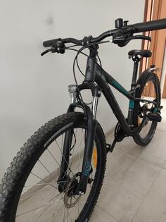 Bulls - zarena street 1