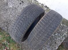 Sava - m+s - Kış guma