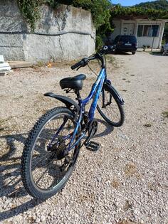 Author - explorer venera magnito