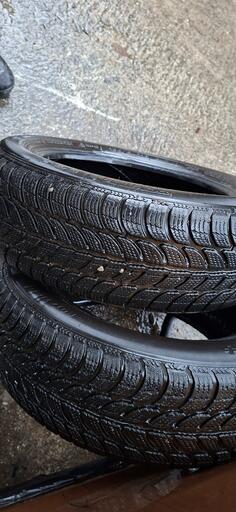 Sava - sava - Kış guma