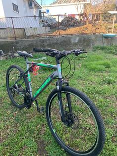 Capriolo - caprijolo