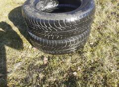 Sava - m+s - Winter guma