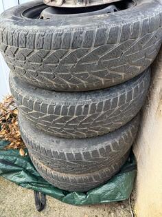 Tigar - winter - Kış guma