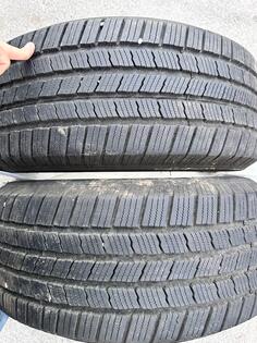 Michelin - gume michelin 255/50/19 - Zimska guma