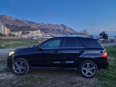 Mercedes Benz - ML 250