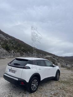 Ariel Motor - Ostalo - 1.5