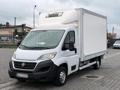 Fiat - Ducato Izotermna kamion hladnjača < 3.5t / GRI-0513