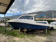 Starfisher - holiday