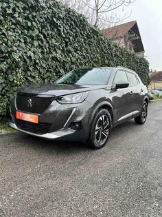 Peugeot - 2008 - Allure ZAMIJENJEN LANAC