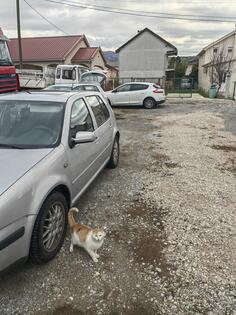 Volkswagen - Golf 4 - 1,9 TDI