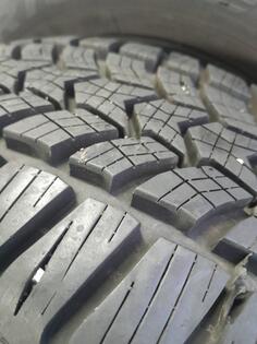 West Lake - Winter - Kış guma