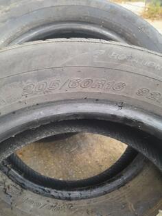 West Lake - Winter - Winter guma