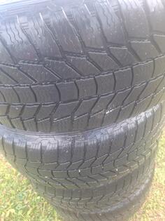 AEZ rims and zimska tires