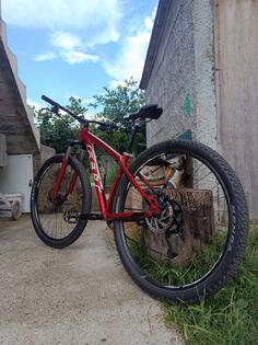 Felt - dispatch 9/70