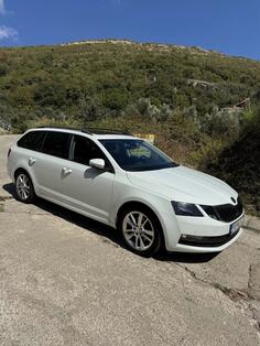 Škoda - Octavia - 2.0 TDI 4x4