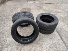 Ling Long - 205/55/16 - Winter tire