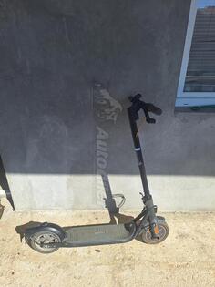 Bergamont - Nain bot