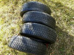 Sava - m+s - Winter tire
