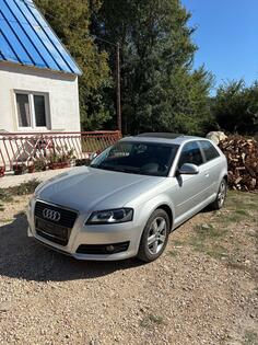 Audi - A3 - 1.6 tdi