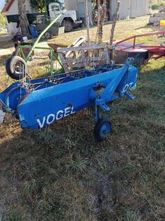 Vogt - wogel