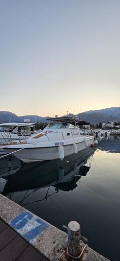 Ostalo - Gulf Craft 31