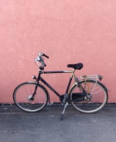 Gazelle - gazelle orange