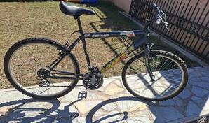 BIXS - 26