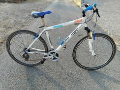Polar - FORESTER