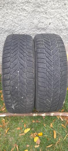 Debica - Frigo - Winter tire