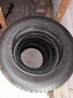 Sava - eskimo - Kış guma