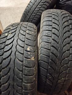 Sava - zimska - Kış guma