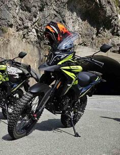 Migliori Castor - Castor