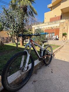 Trek - remedy 8 2010