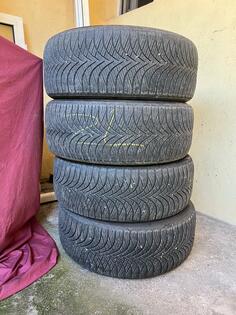 West Lake - vestlake - Всесезонная guma