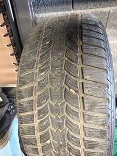 Sava - Sava - Winter tire