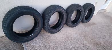 Barum - Polaris 5 - Летняя guma