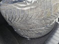 Vredestein - zima - Kış guma