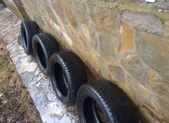 Laufenn - / - Kış guma