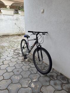 Author - urban freedom