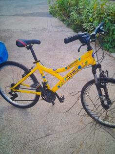 Ostalo - ALPINA skeleton 24