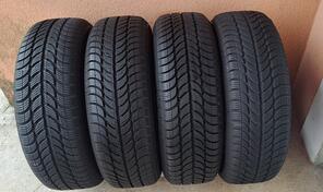 Sava - eskimo  - Kış guma