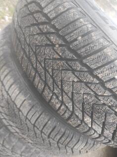 Borbet felne i Wintergrip gume