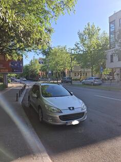 Peugeot - 407 - 2.0