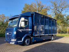 DAF - LF 280 kamion za prevoz stoke / LA2344