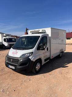 Fiat - Ducato Hladnjaca
