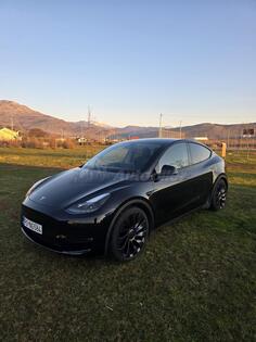 Tesla - Model 3 - Y Performance