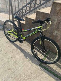 Author - Magnum explorer