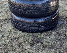 Sava - m+s - Zimska guma