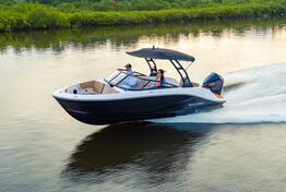 Bayliner - V20