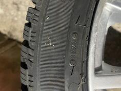 Taurus - Winter - Univerzalna guma